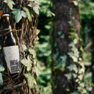 BREWWOOD Craft Brewery Abies Alba GOLDEN ALE | BREWWOOD kraft pivovarna