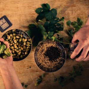BREWWOOD Craft Brewery Craft beer ingredients | Coupon for tasting and brewery tour BREWWOOD Craft Brewery - Craft beer ingredients