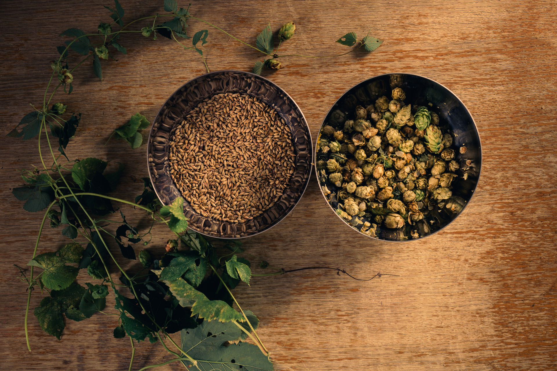 BREWWOOD Craft Brewery Hopped beer Kocevje | BREWWOOD kraft pivovarna